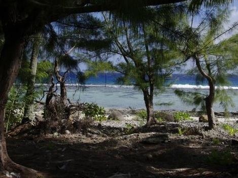 Pension Chalet Tipanier Raiatea Exterior foto